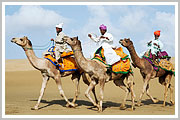 camel safari