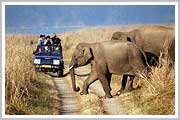 Corbett National Park