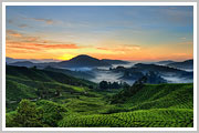 Munnar