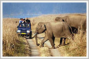 Corbett National Park