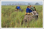 Kaziranga National Park 