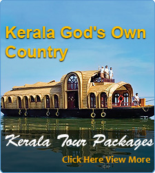 Kerala Tour Packages