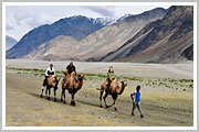 Leh - Nubra Valley 