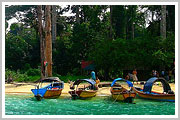 Havelock Island 