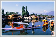 Srinagar