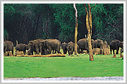 Thekkady