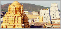 Tirupati Darshan Tour